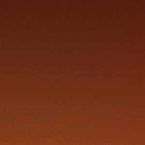 Meet your Posher, Dillon